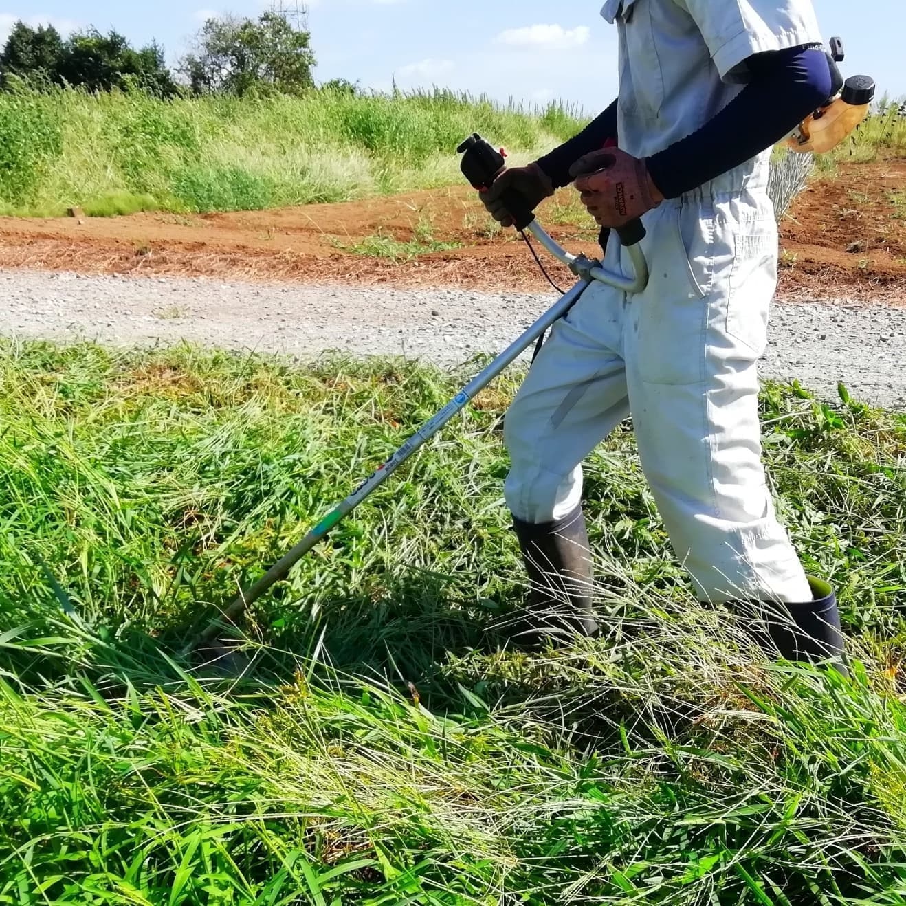 草刈り 知多市 | 知多市で草刈りならお庭の窓口知多市