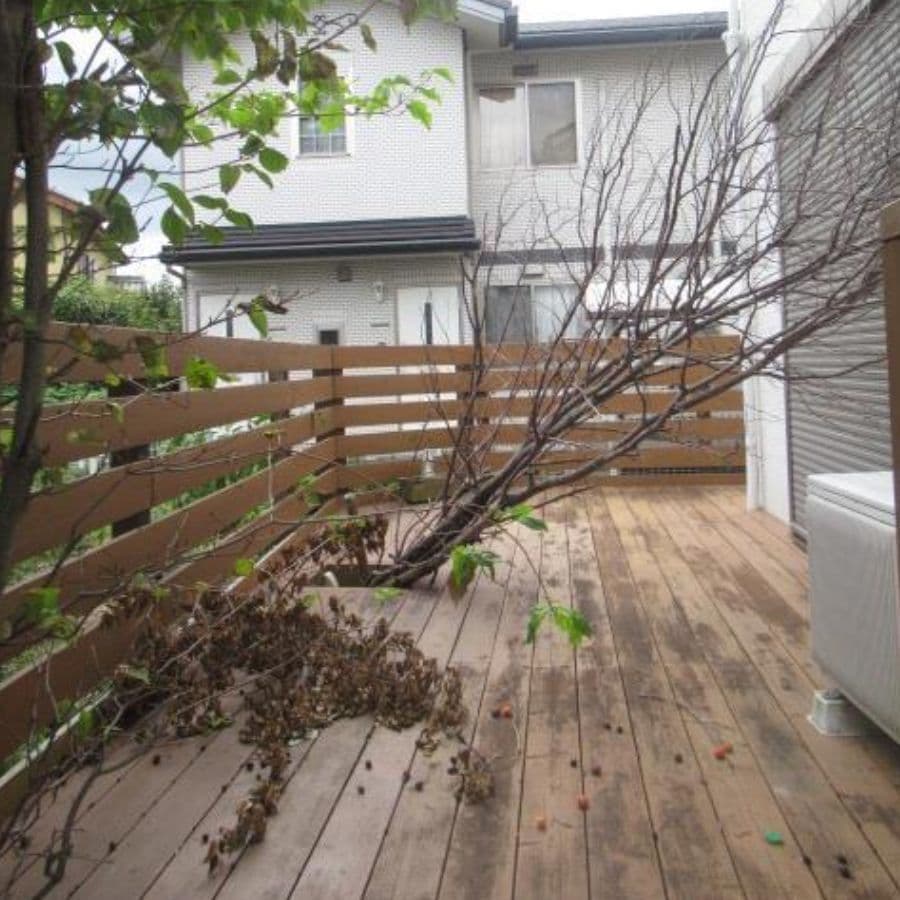 倒木撤去 知多市 | 知多市で庭木の倒木撤去ならお庭の窓口知多市