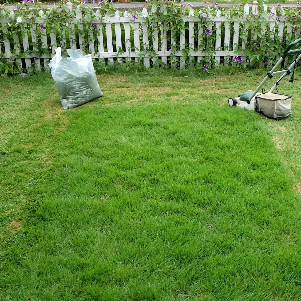 芝生の手入れ 知多市 | 知多市で芝生の手入れならお庭の窓口知多市