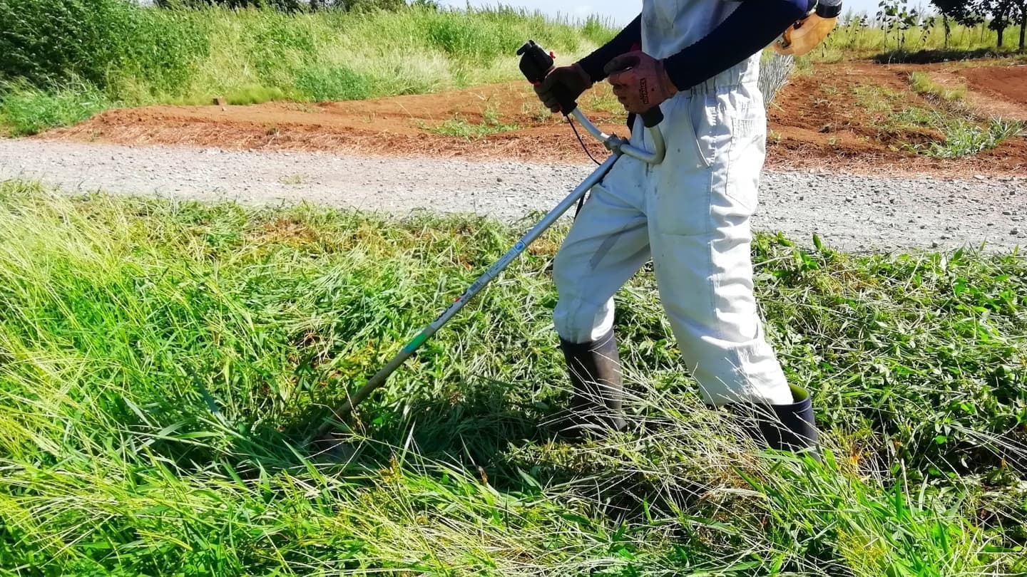 草刈り 知多市 | 知多市で草刈りならお庭の窓口知多市