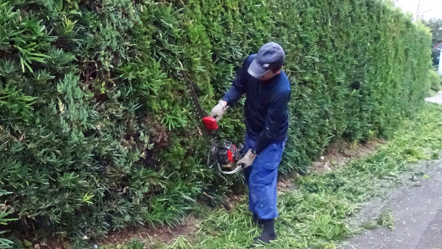 生垣剪定 知多市 | 知多市で生垣剪定ならお庭の窓口知多市