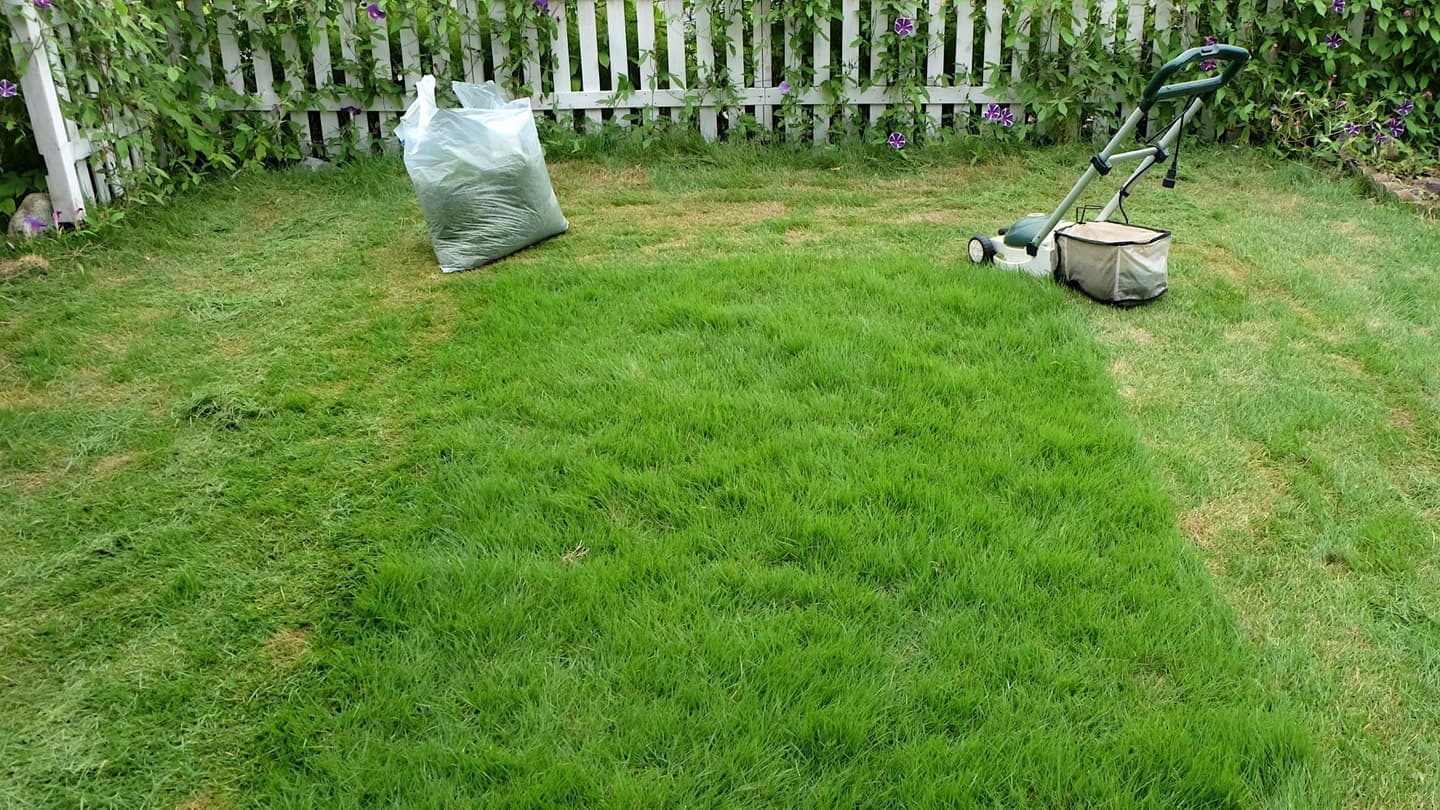 芝生の手入れ 知多市 | 知多市で芝生の手入れならお庭の窓口知多市