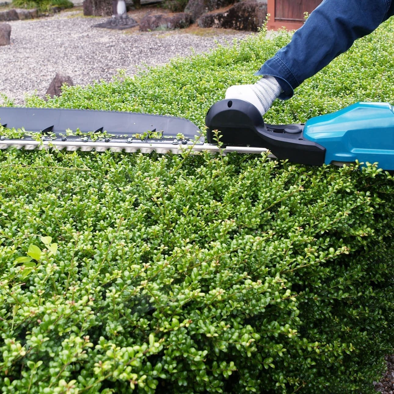 植込み剪定 知多市 | 知多市で庭木の植込み剪定ならお庭の窓口知多市