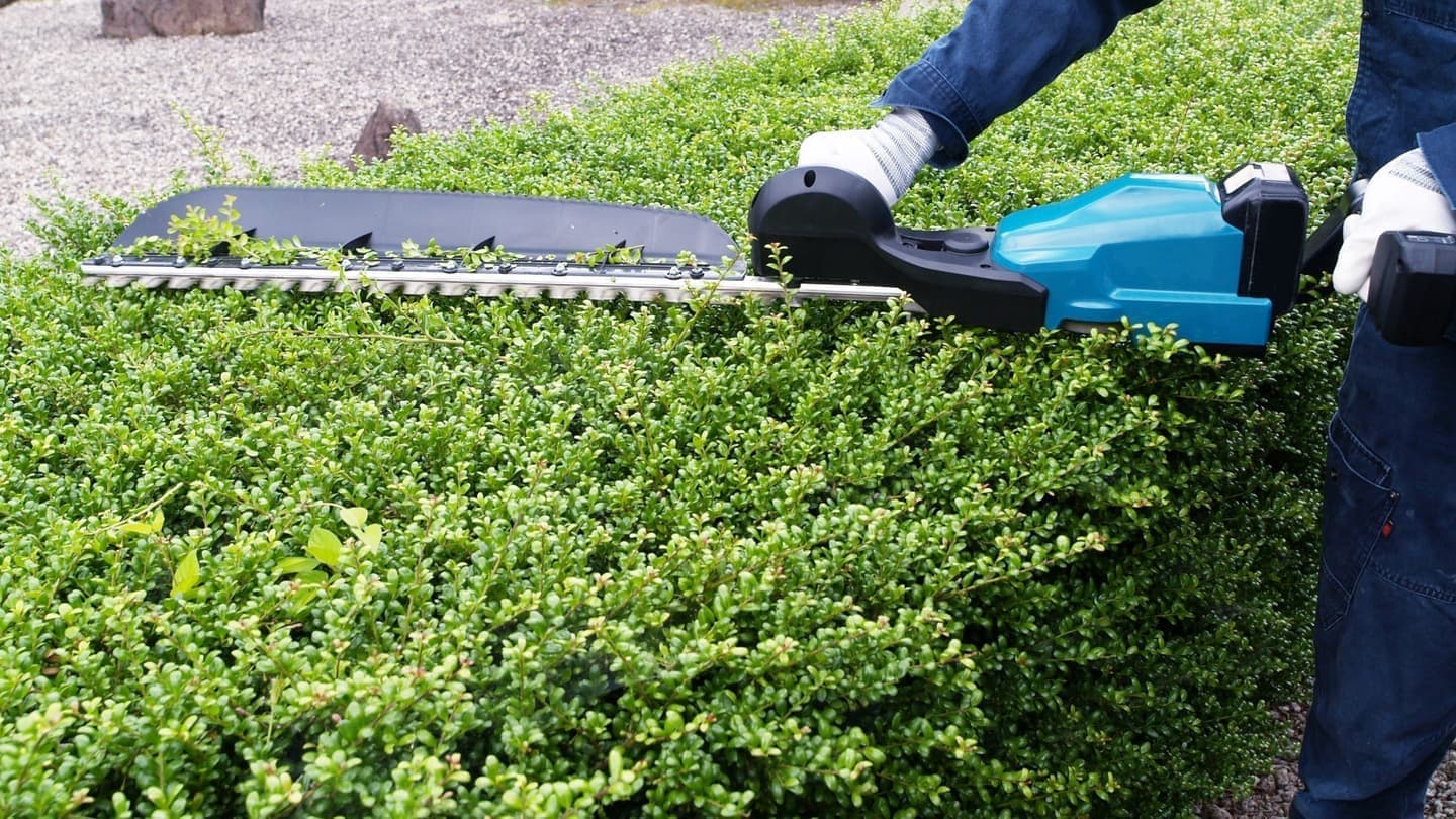 植込み剪定 知多市 | 知多市で植込み剪定ならお庭の窓口知多市