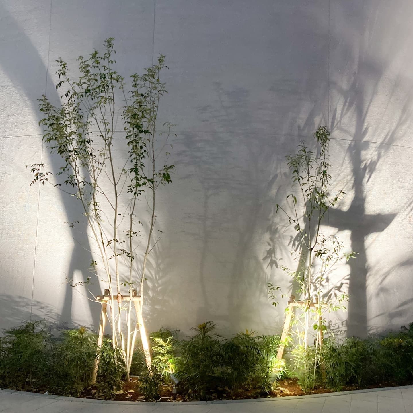 庭木の植栽 知多市 | 知多市で庭木の植栽ならお庭の窓口知多市