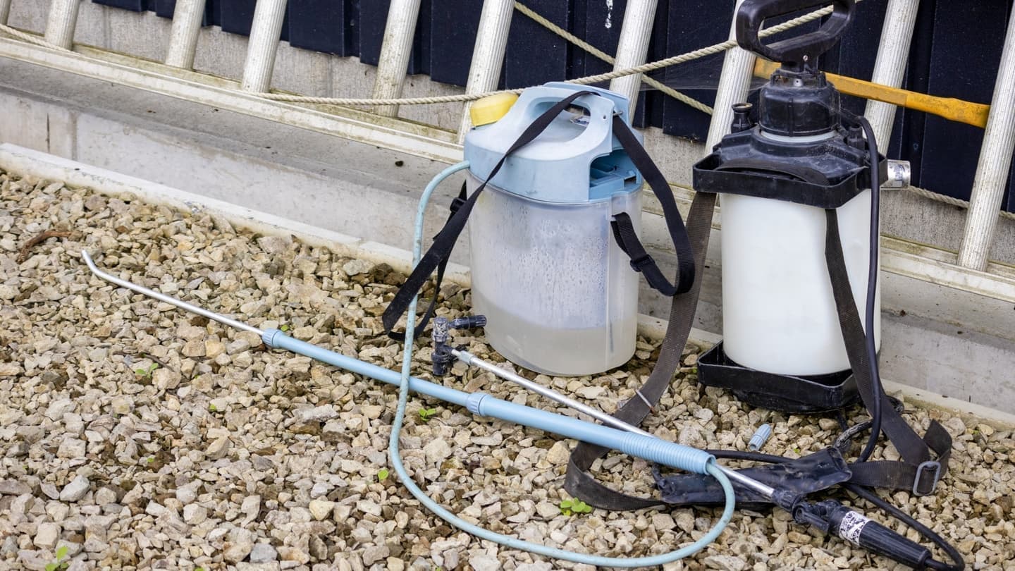 庭木の消毒・害虫対策 知多市 | 知多市で庭木の消毒・害虫対策ならお庭の窓口知多市