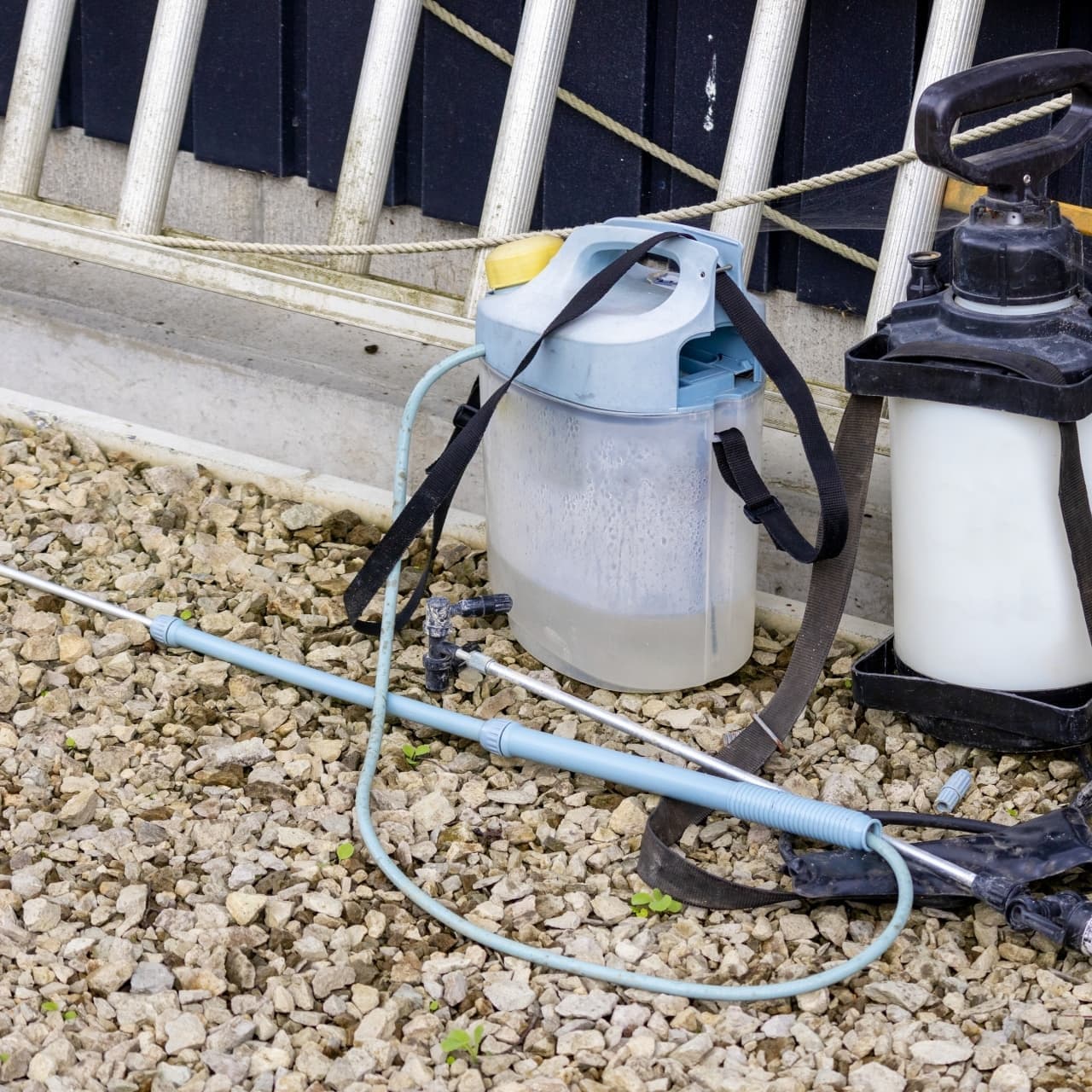 庭木の消毒・害虫対策 知多市 | 知多市で庭木の消毒・害虫対策ならお庭の窓口知多市